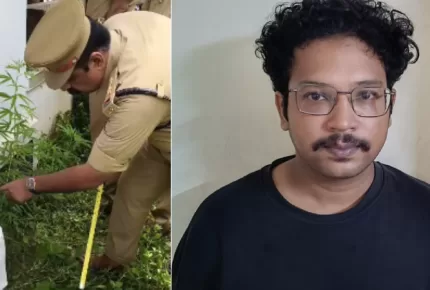 കഞ്ചാവ് ചെടികൾ നട്ടുവളർത്തിയത് കിടപ്പുമുറിയോട് ചേർന്ന്; കൊല്ലത്ത് യുവാവ് പിടിയിൽ