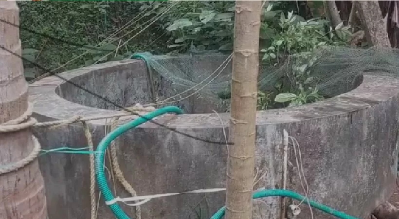 dead body found in well