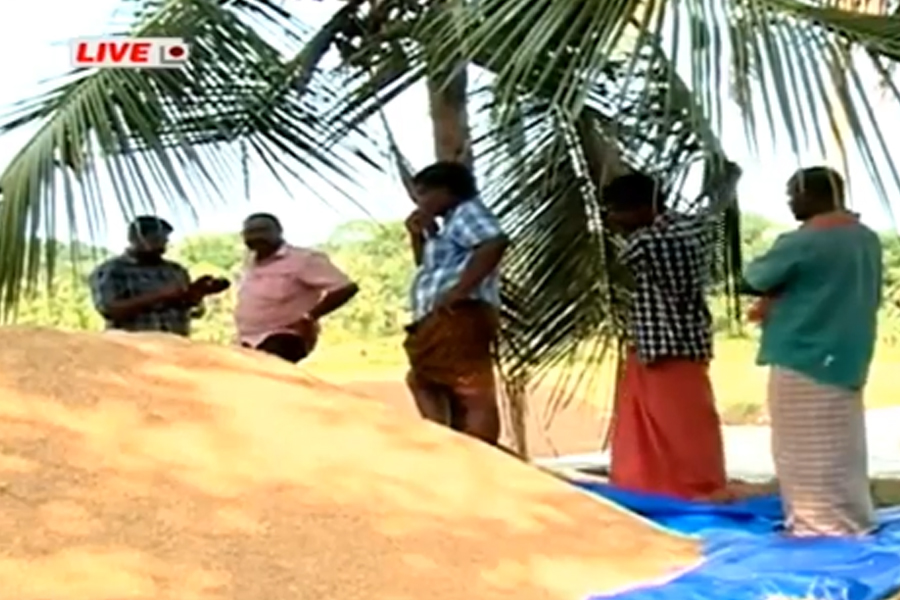 കോട്ടയം ജില്ലയിലെ വിവിധ പാടശേഖരങ്ങളില്‍ നെല്ലുസംഭരണം പ്രതിസന്ധിയില്‍