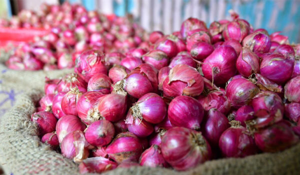 ഉള്ളിവില കുറഞ്ഞു ഗയ്‌സ് ! കയറ്റുമതി തീരുവ നിര്‍ത്തലാക്കുന്നുവെന്ന് കേന്ദ്രം