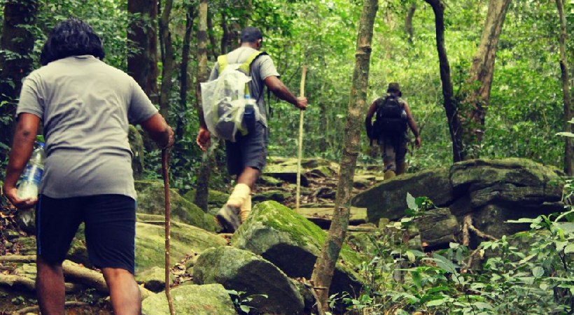 Agasthyarkoodam Trekking