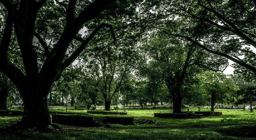 thekkinkadu maidanam court