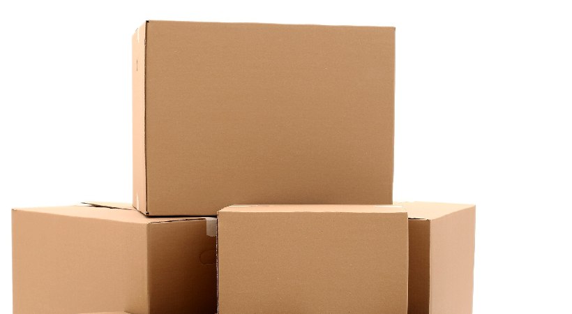 Indore Gun Parcel Case