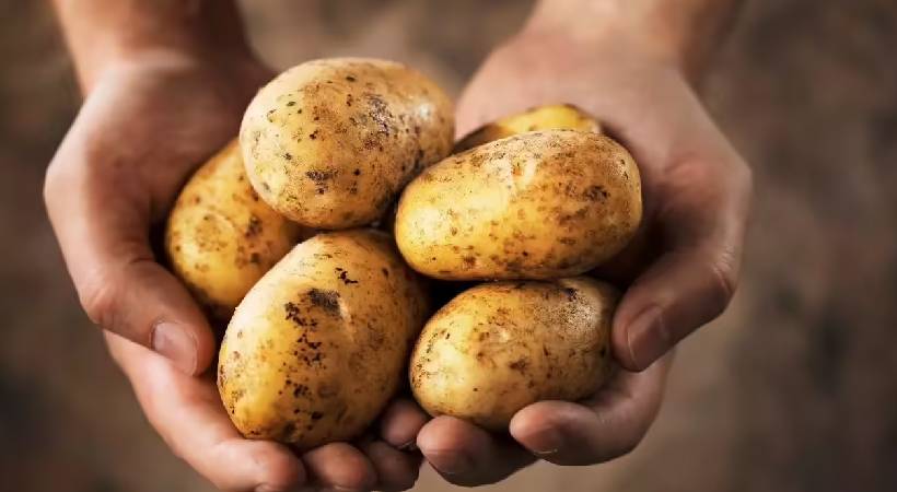 Safe potatoes selection tips