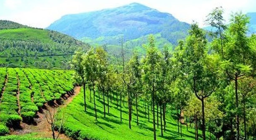 Munnar heat wave
