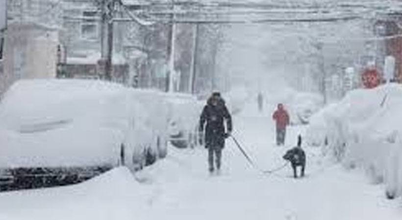 snowfall in jammu kashmir