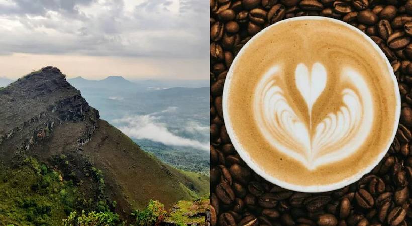 സൂഫി സന്യാസി ഇന്ത്യയിലേക്ക് കടത്തിയ ഏഴു വിത്തുക്കൾ;  കാപ്പിയെത്തിയത് വഴി ഇങ്ങനെ