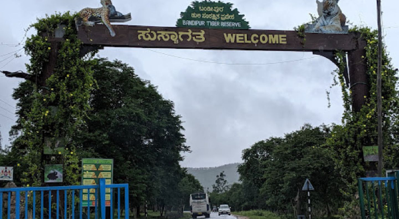 Bandipur and Nagarhole National Parks