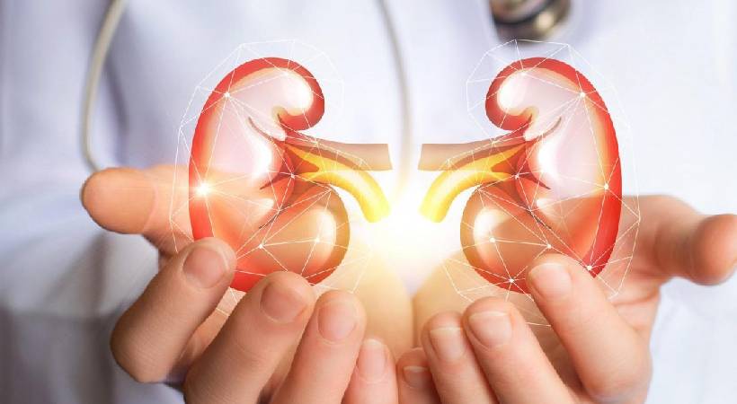 ചൂടാണേ…; നിങ്ങളുടെ കിഡ്നി സേഫാണോ? ഈ കാര്യങ്ങളറിഞ്ഞാൽ  നിങ്ങൾ സുരക്ഷിതരാണ്