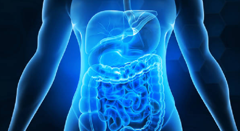 habits for better digestion