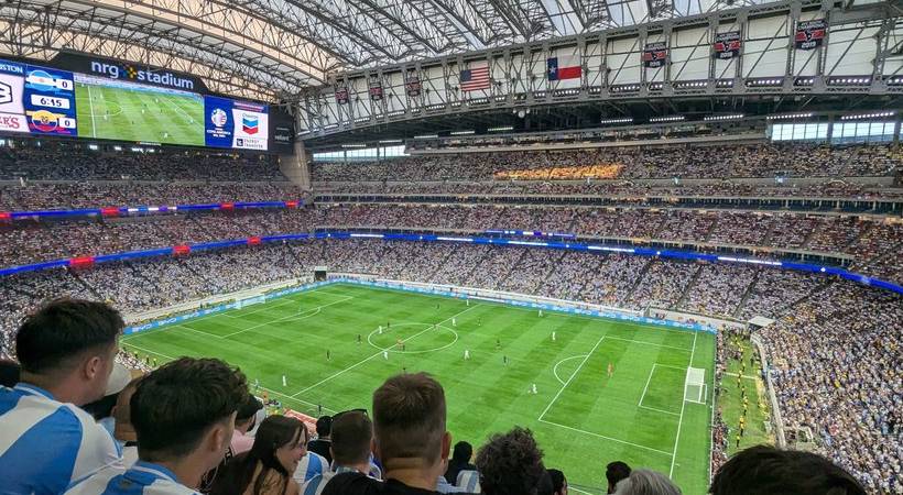 fifa world cup grass