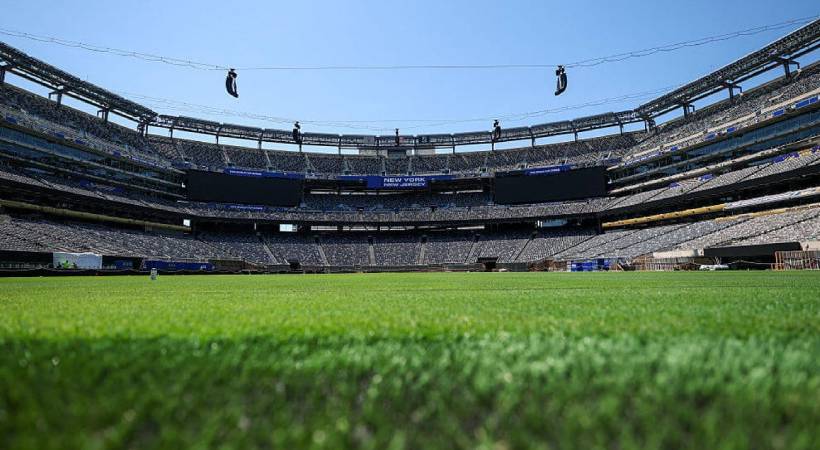 FIFA Sells World Cup Pitch Grass